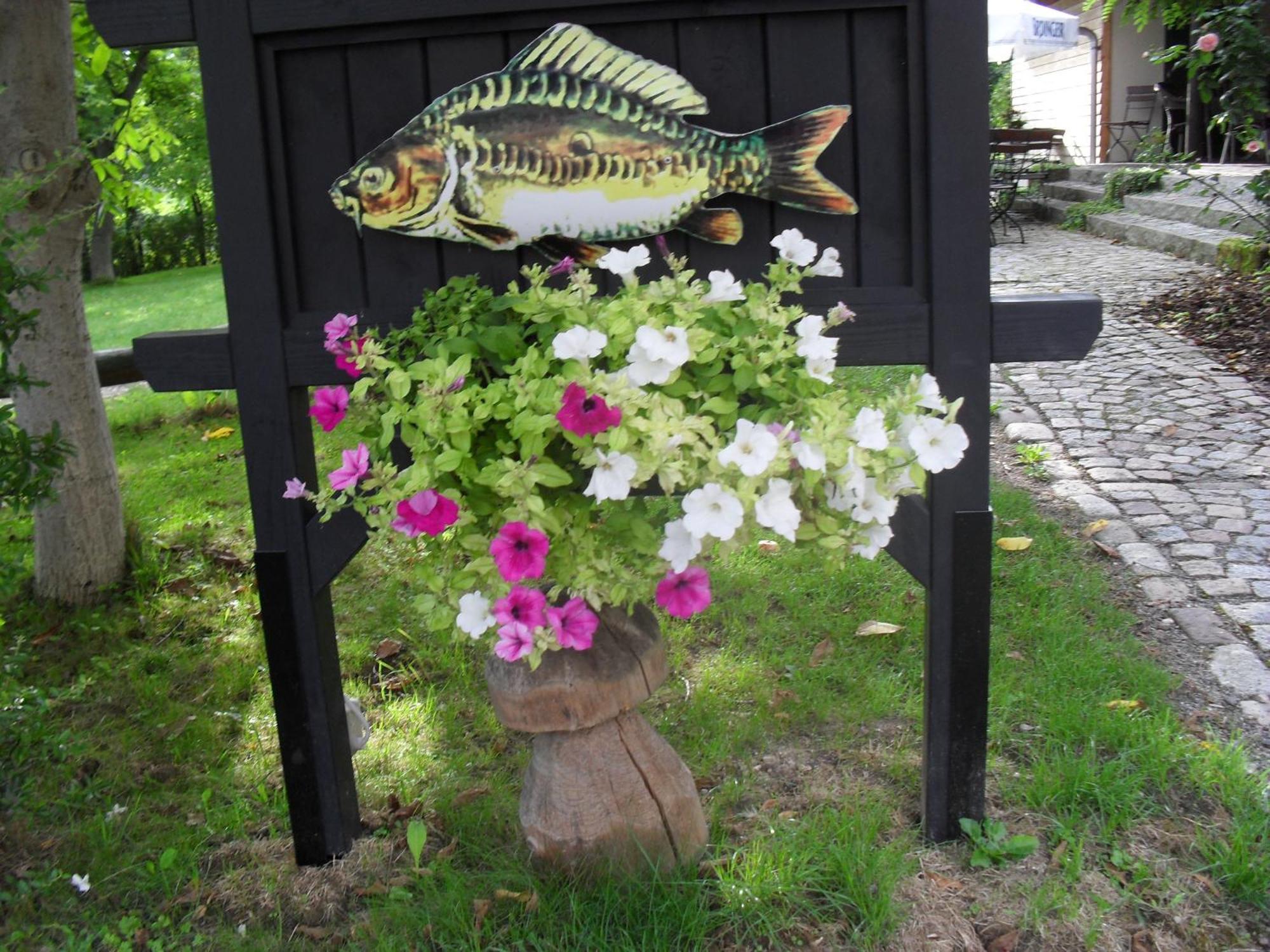 Fischerhof Crimmitschau Oda fotoğraf